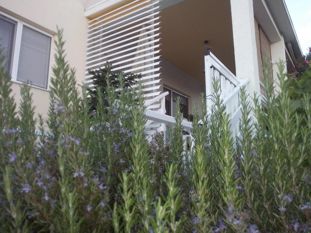 Kuca Za Odmor Laura Apartment Razanac Exterior photo